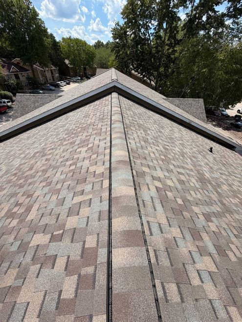 Roof ridgeline with gray shingles and trees in the background