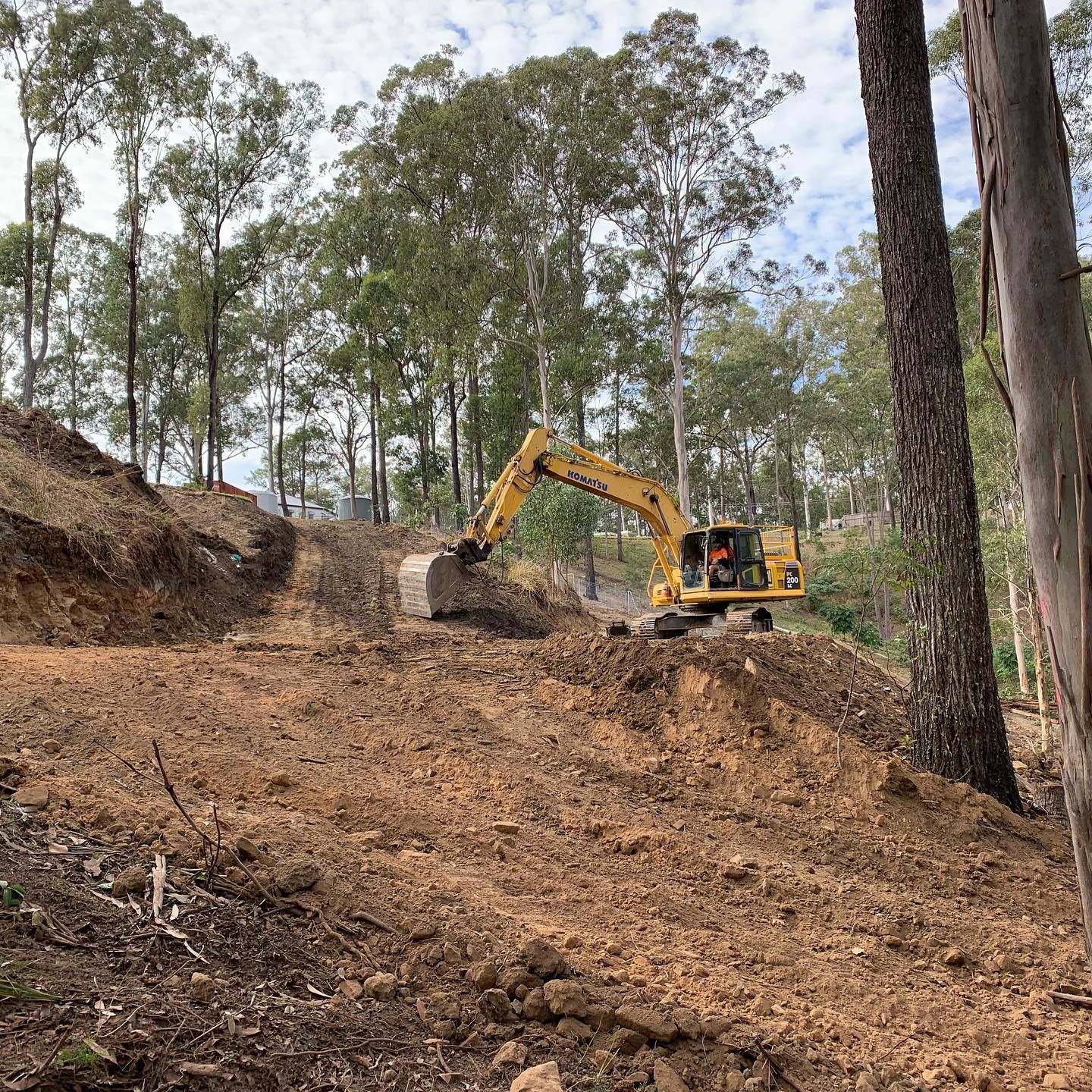 Tree Removal Gold Coast | QLD Earthworks