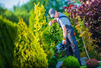Landscaper hedge trimming bushes at a home in Cheyenne