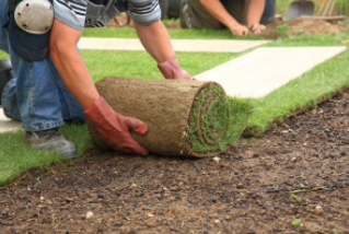Laying sod for new grass at residential home in Cheyenne