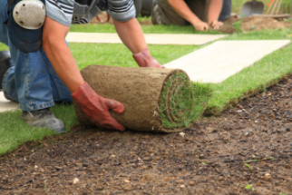 Landscaper laying sod at residential home in Cheyenne.