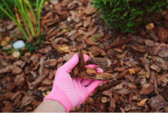 Pine bark mulch in garden at residential home in Cheyenne WY