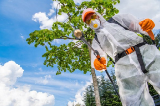 Cheyenne Landscaper spraying weeds with weed with a pest control sprayer.