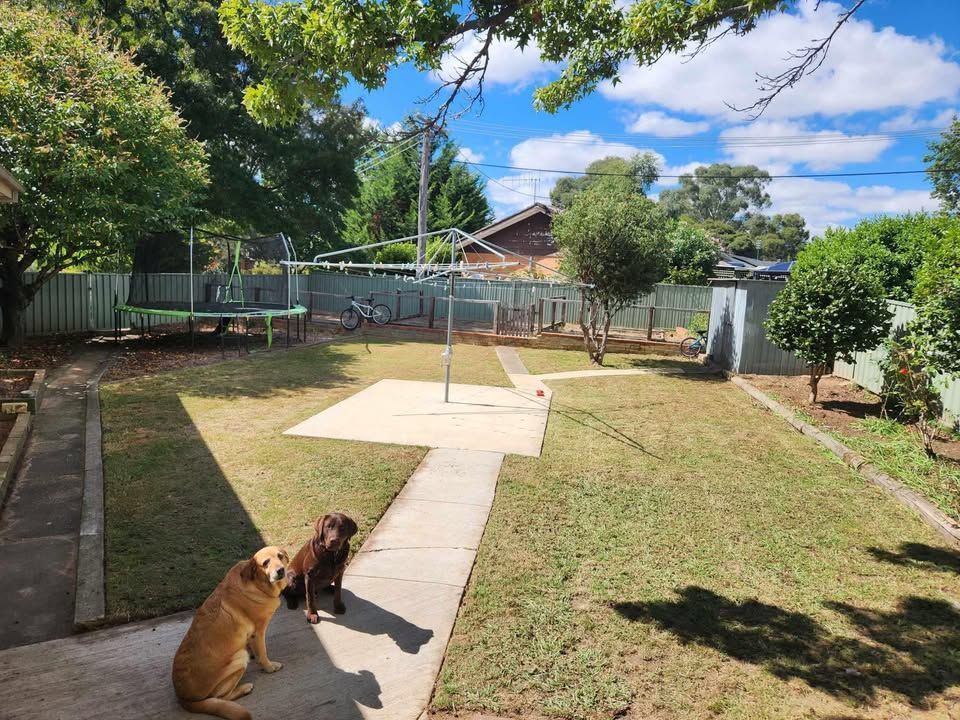 After A Brick Walkway Leading To A House With A Hose On The Side Of It — Canberra Home and Garden Maintenance in Tuggeranong ACT
