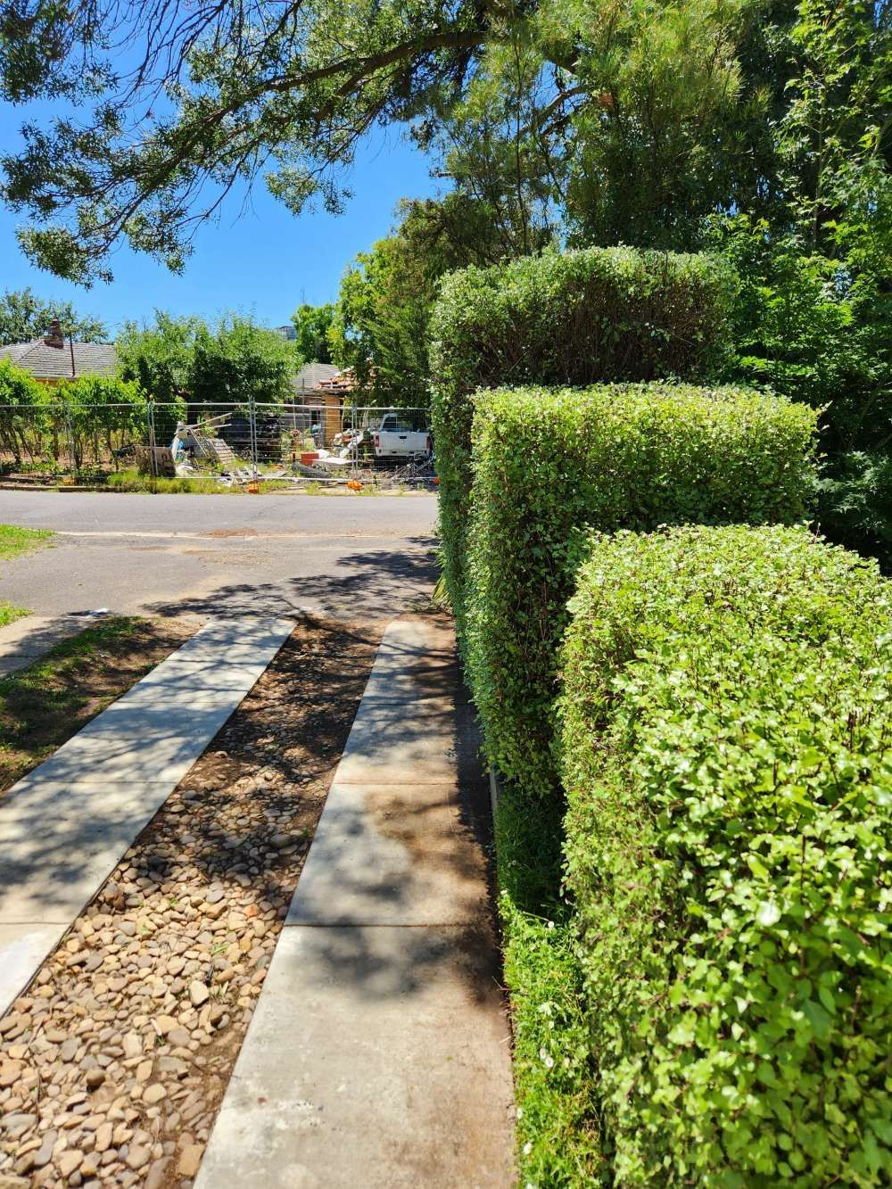 After A Row Of Hedges Along A Sidewalk Next To A Road — Canberra Home and Garden Maintenance in Tuggeranong ACT