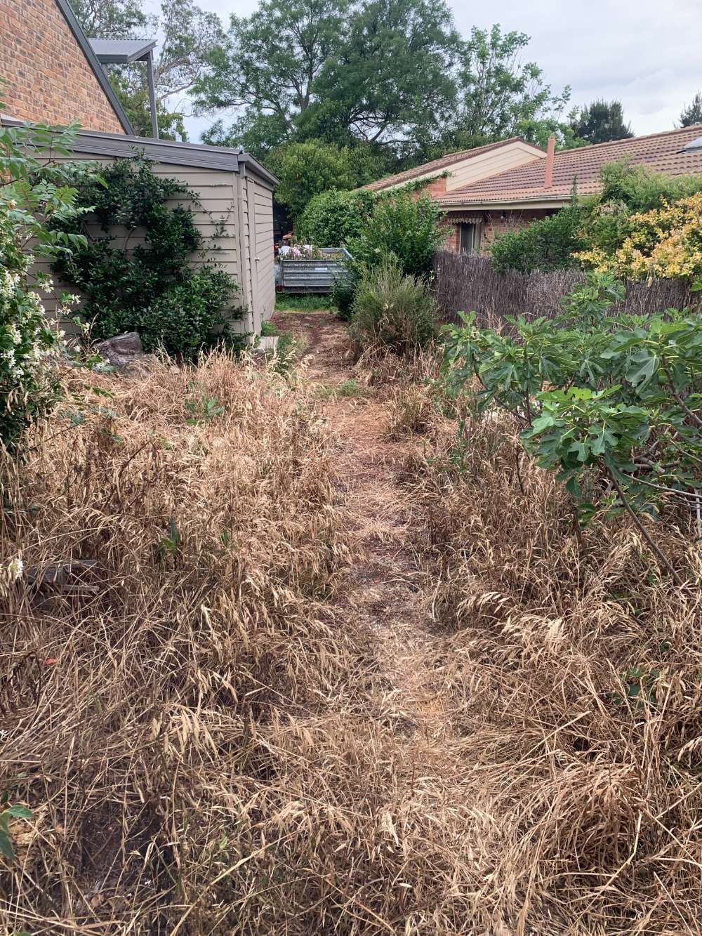 Before A Dirt Path Leading To A House In A Backyard — Canberra Home and Garden Maintenance in Tuggeranong ACT