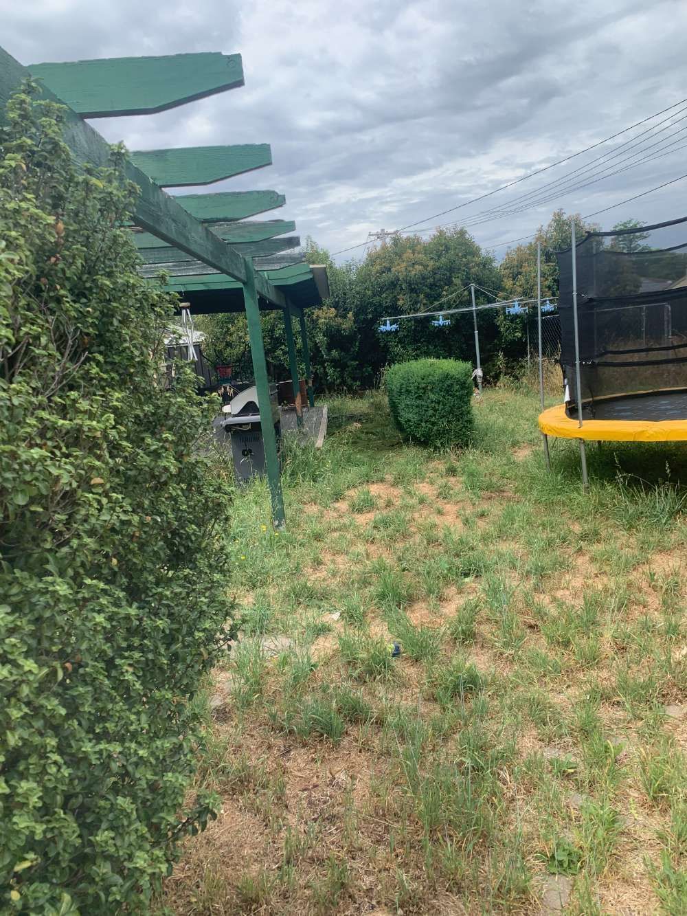 Before A Trampoline Is Sitting In The Middle Of A Grassy Field — Canberra Home And Garden Maintenance In Tuggeranong Act