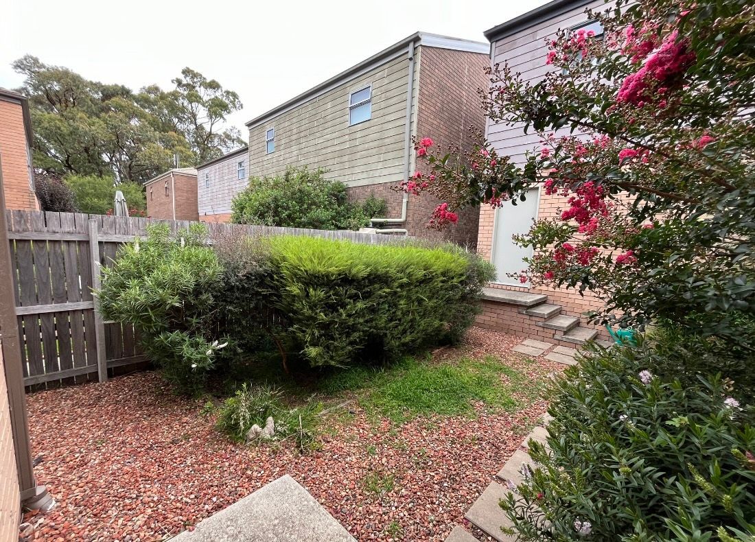 Before A House With A Lot Of Plants Growing In Front Of It — Canberra Home and Garden Maintenance in Tuggeranong ACT