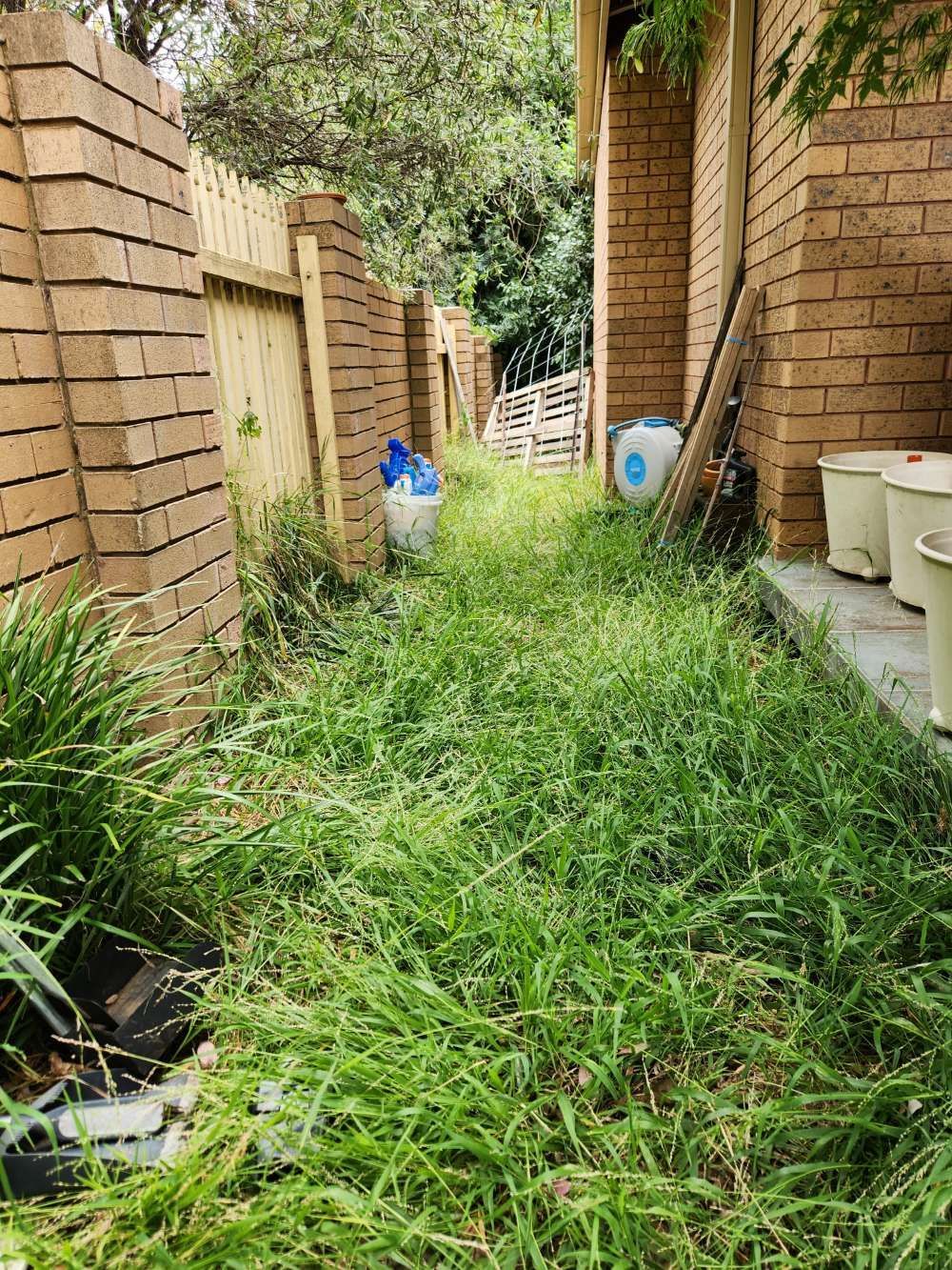 Before There Is A Lot Of Grass In The Backyard Of A House — Canberra Home and Garden Maintenance in Tuggeranong ACT