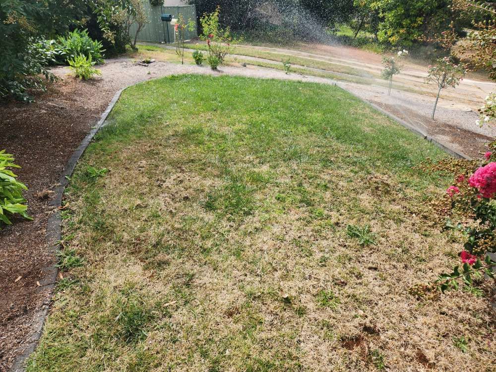 Before A Sprinkler Is Spraying Water On A Lush Green Lawn — Canberra Home and Garden Maintenance in Tuggeranong ACT