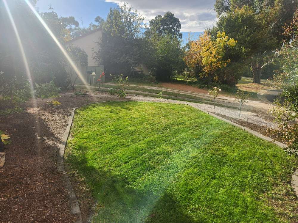 After A Lush Green Lawn With A Path Leading To A House — Canberra Home and Garden Maintenance in Tuggeranong ACT