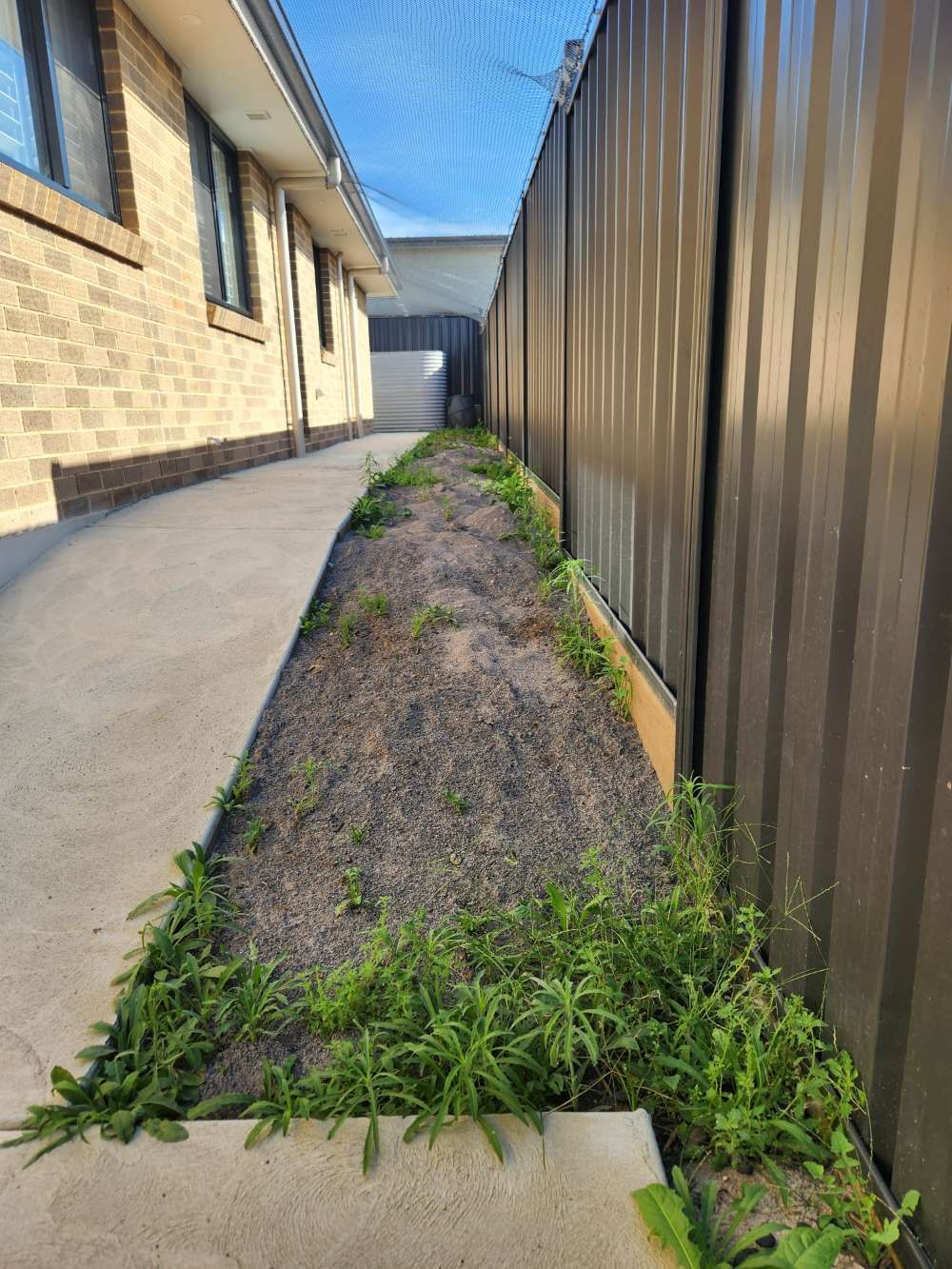 Before A Sidewalk Leading To A House With A Fence And Grass Growing On The Side Of It — Canberra Home and Garden Maintenance in Tuggeranong ACT