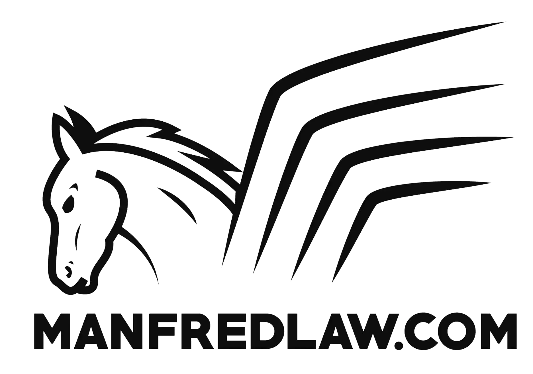 Manfred Sternberg & Associates Logo