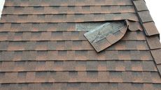 A close up of a roof with shingles on it.