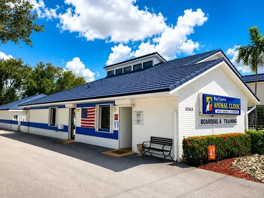 Small white sandwich shop with blue roof, roadside sign, and American flag under a bright sky