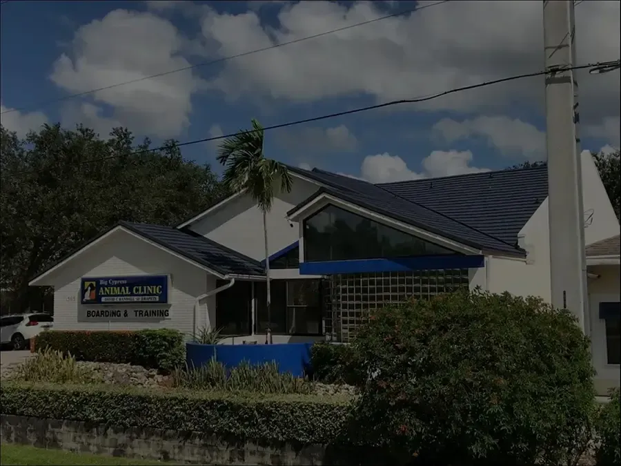 Exterior of a medical clinic with blue roof and sign, set behind hedges under a partly cloudy sky