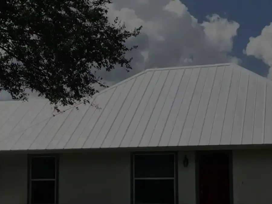 White metal roof on a small house under cloudy sky, with tree branches in the upper left.