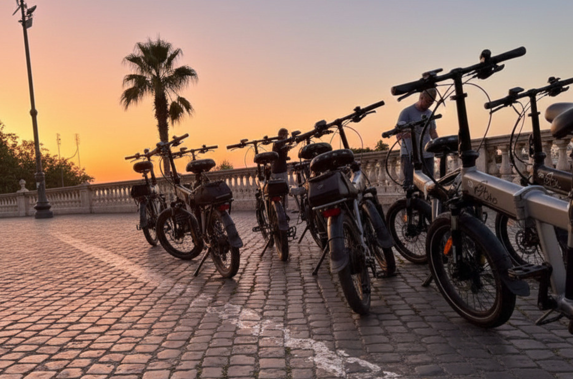 Row of parked bicycles at sunset on a cobblestone promenade with palm trees and lampposts