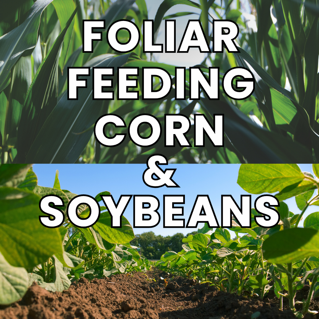 Foliar Feeding Corn & Soybeans