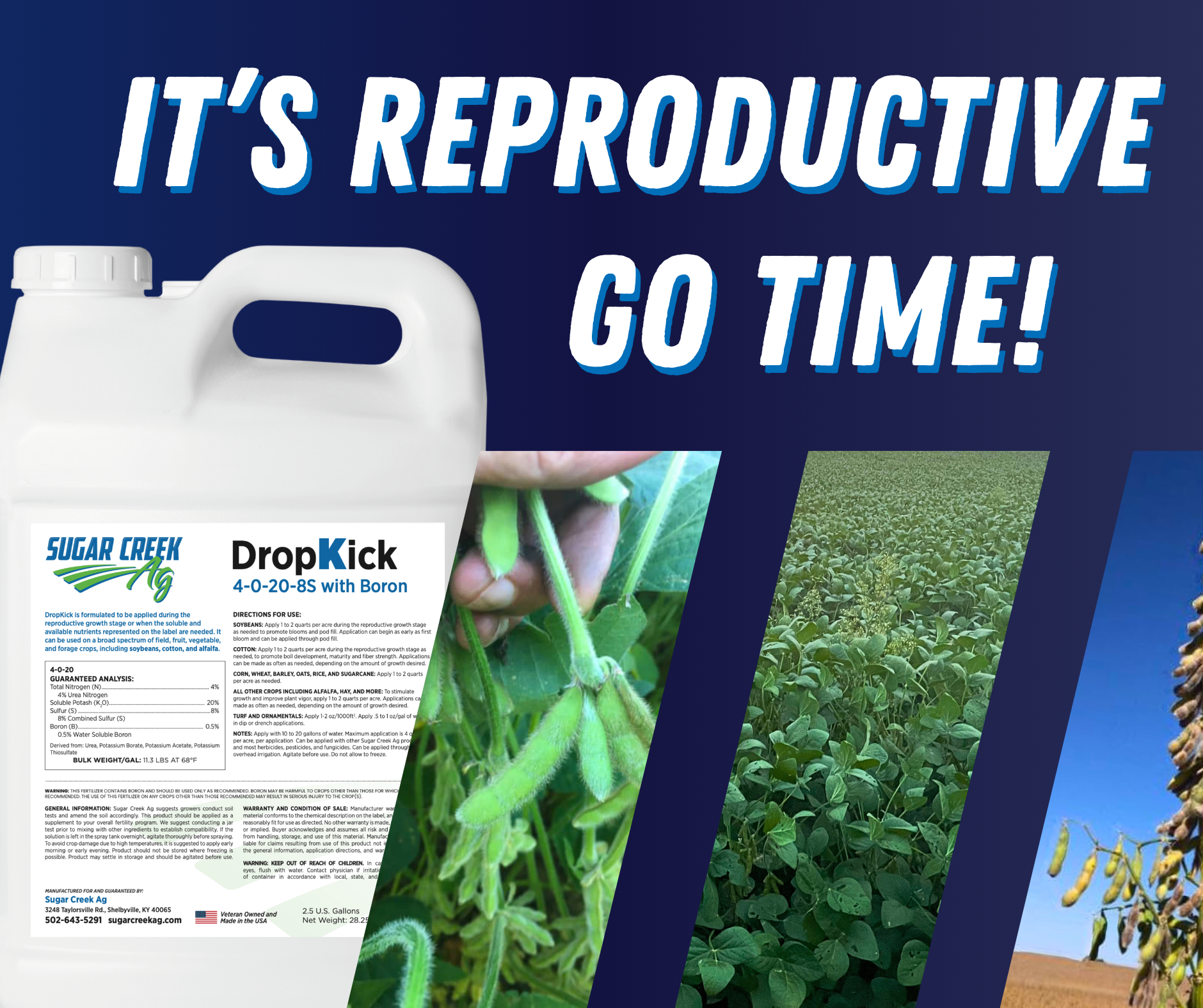 It's Reproductive Go Time! Supporting Soybeans During Pod Fill