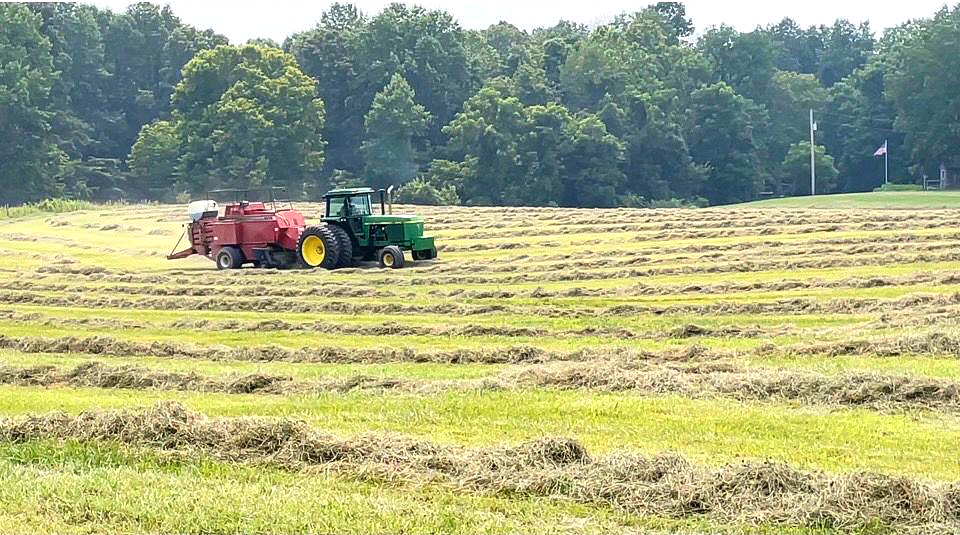How Quickly Can Your Forage Recover and Start Growing Again?