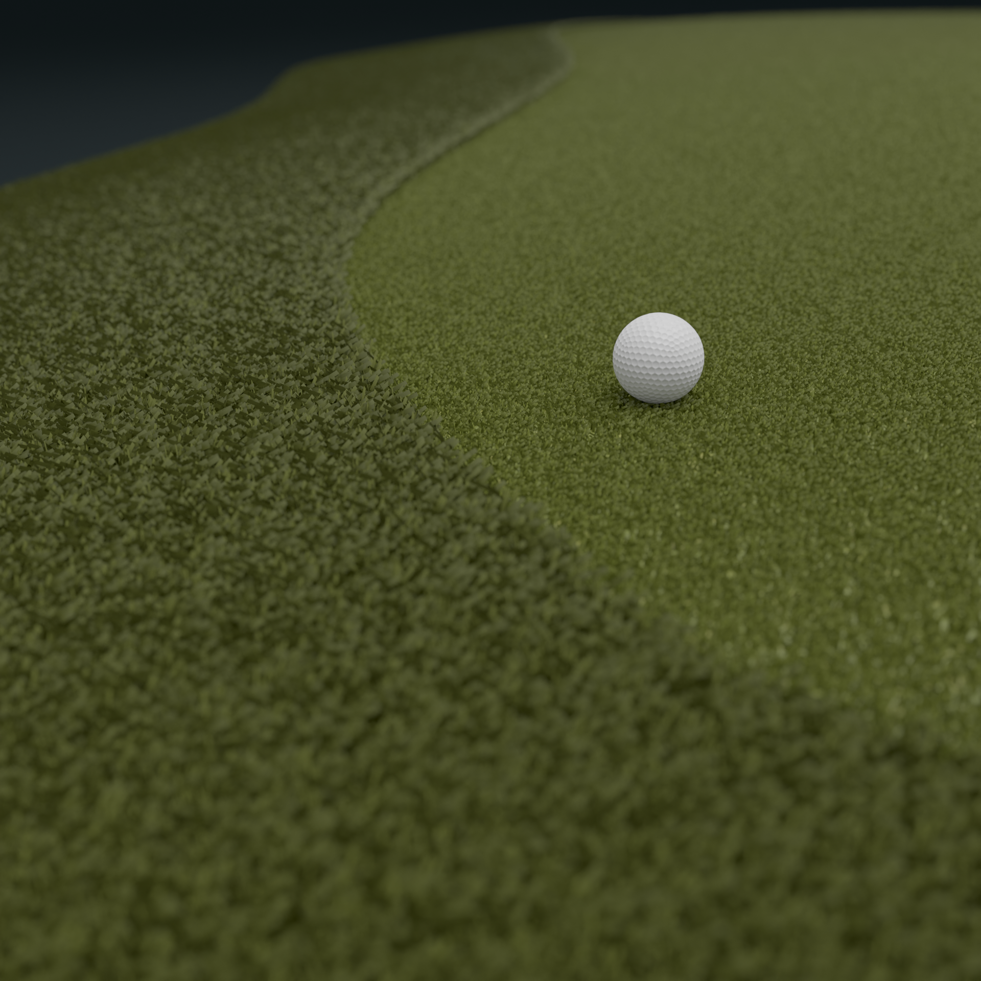 White golf ball on a green putting surface near a curving fringe line.