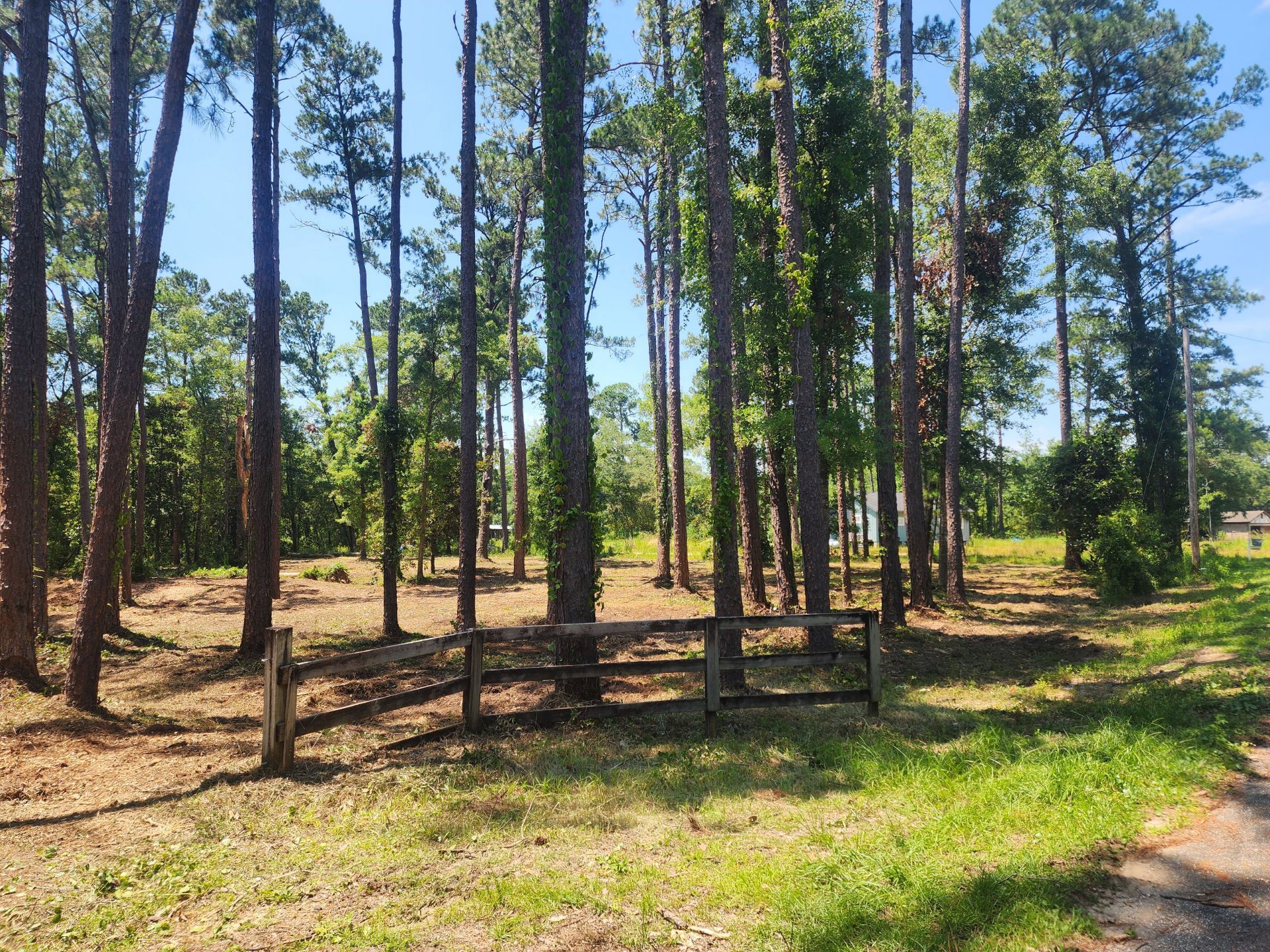 Wooded lot with tall trees and a wooden fence.