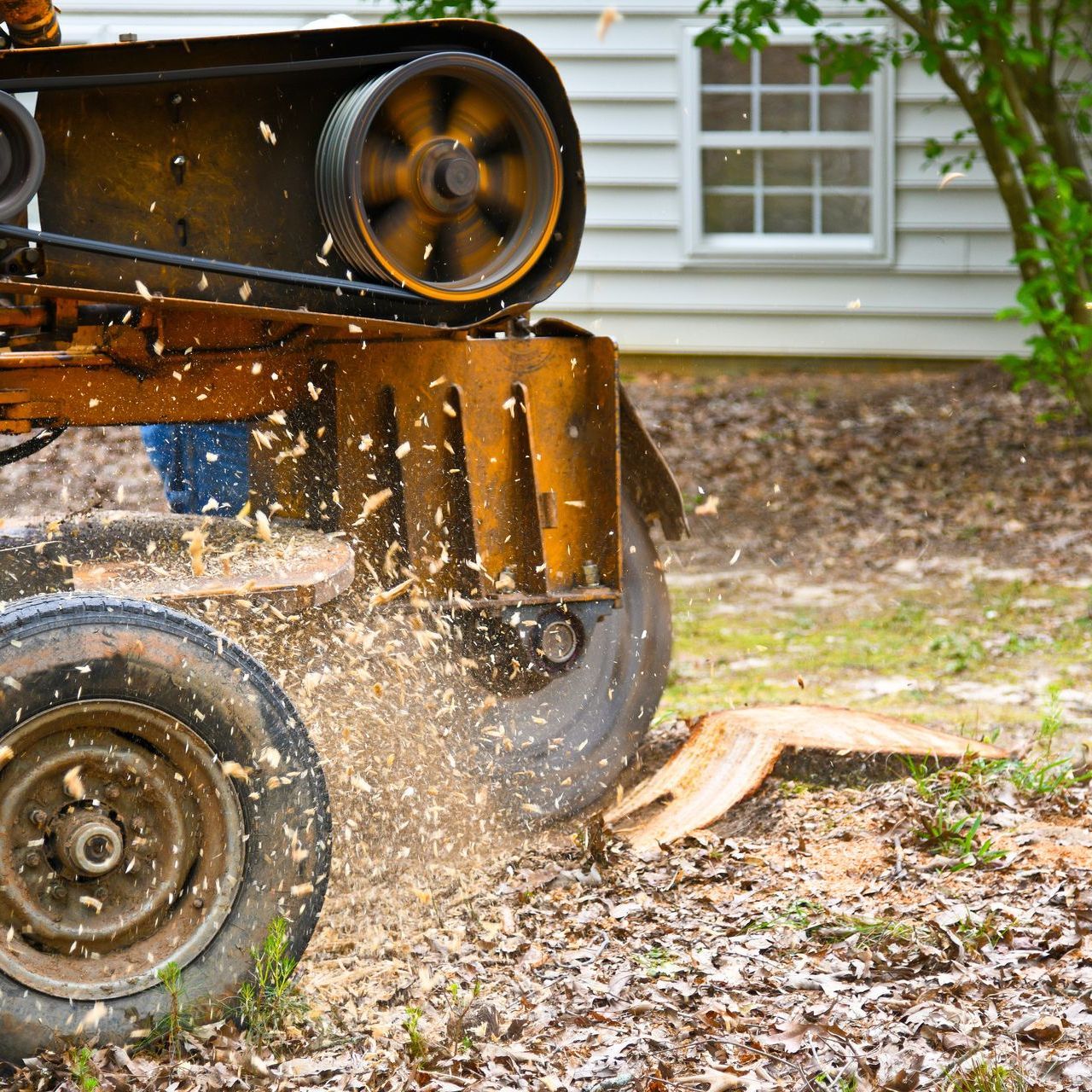 A machine is cutting a tree stump in front of a house.