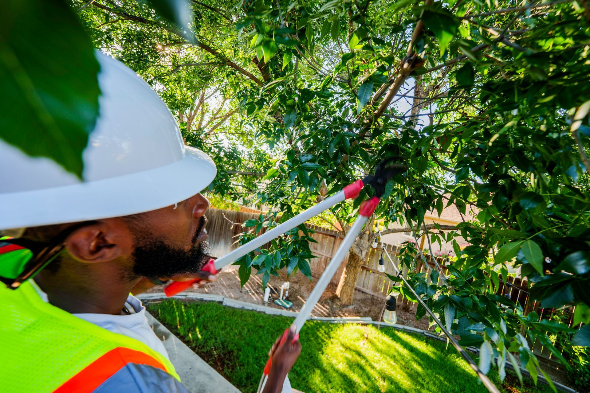 A man wearing a hardhat trims a tree.
