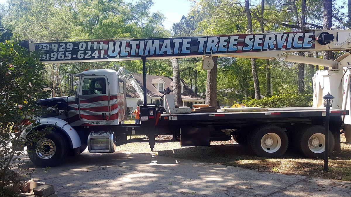 A man is cutting a tree trunk with a chainsaw. A man is cutting a tree trunk with a chainsaw.
