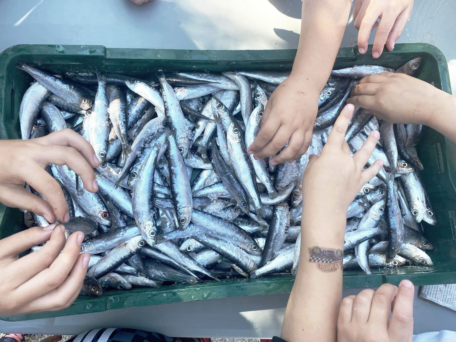 A person with a tattoo on their wrist is reaching into a crate of fish