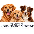 Clinic Dog Logo