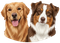 Clinic Dog Logo