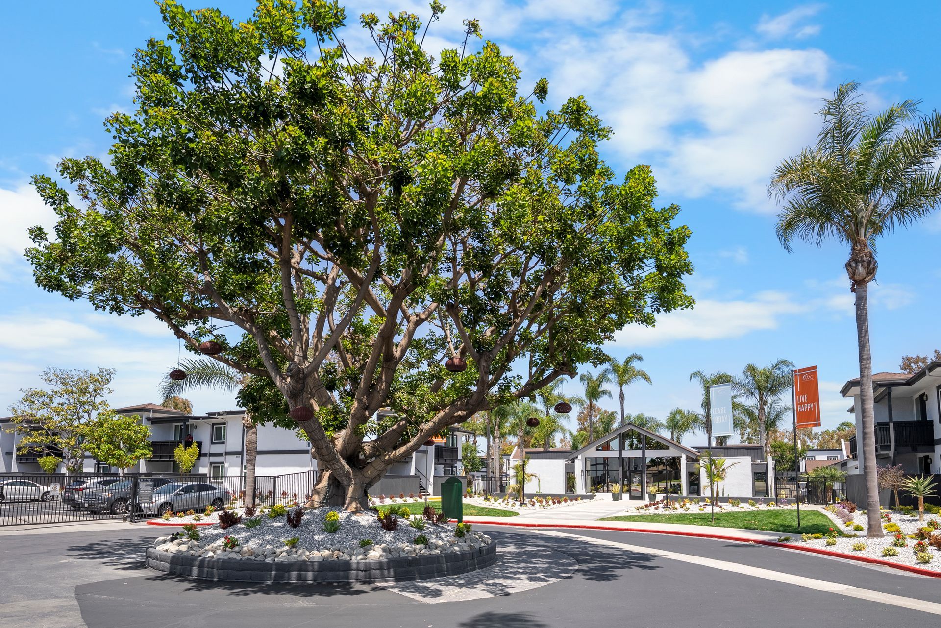 A large tree is in the middle of a parking lot.