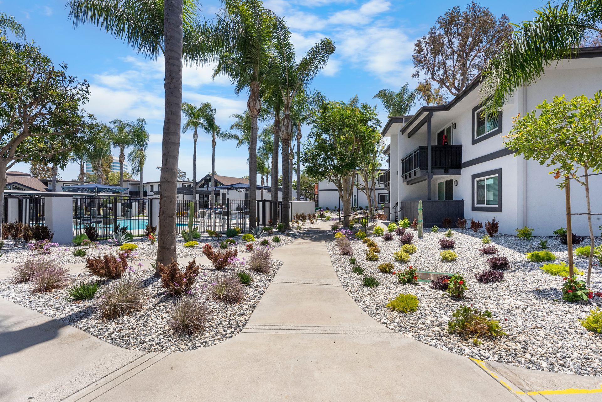 A walkway leading to a building with palm trees and rocks.