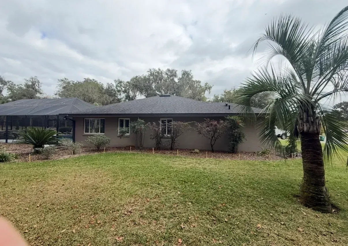 Single-story house with a dark roof and palm tree in the front yard on a cloudy day