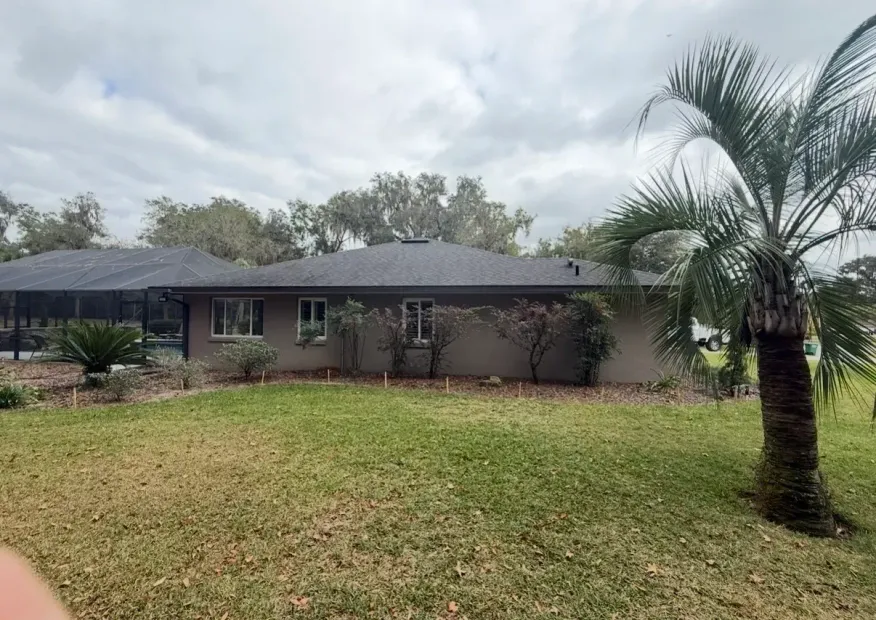 Single-story house with a dark roof and palm tree in the front yard on a cloudy day
