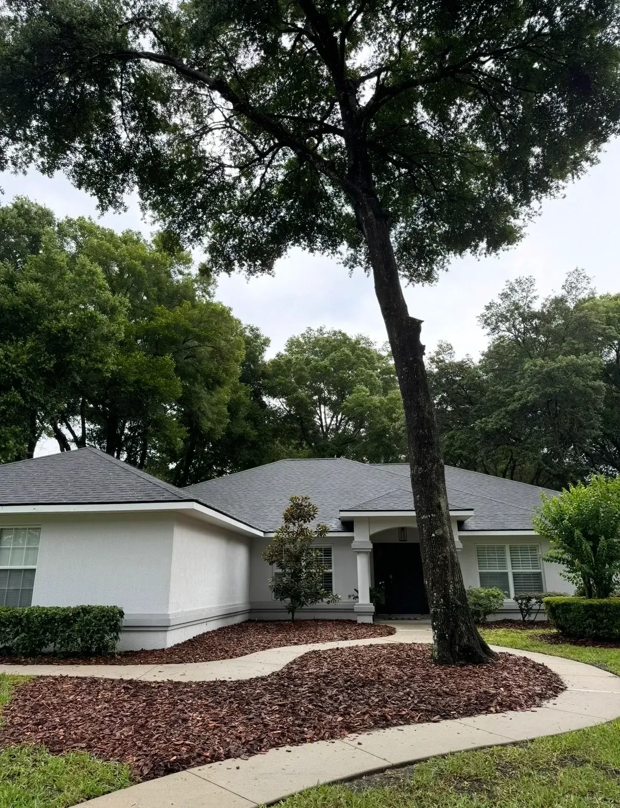 Single-story white house with gray roof, front walkway, landscaped yard, and tall tree in front