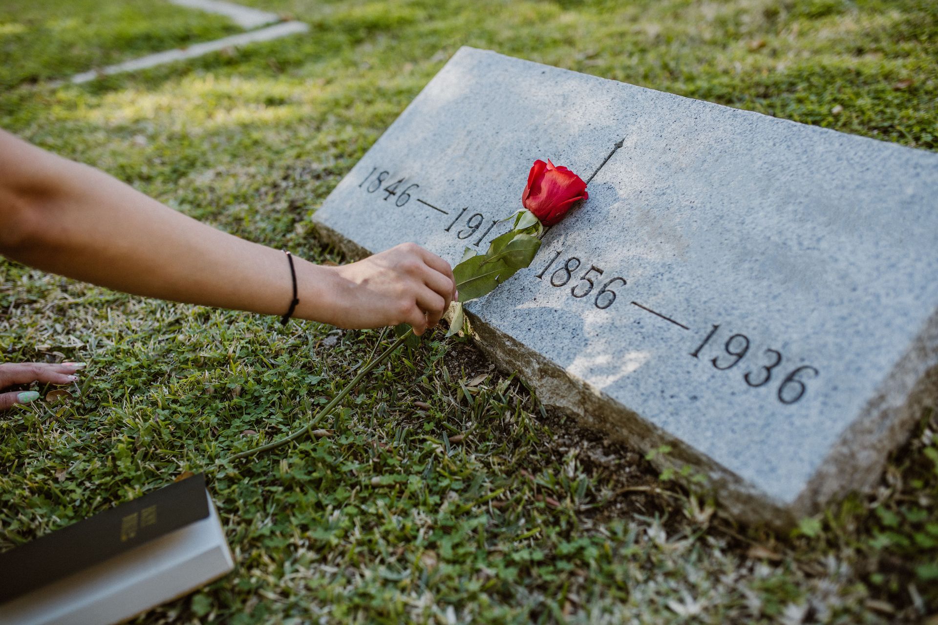 November Remembrance: The Bonds of Love Remain