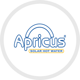 Apricus