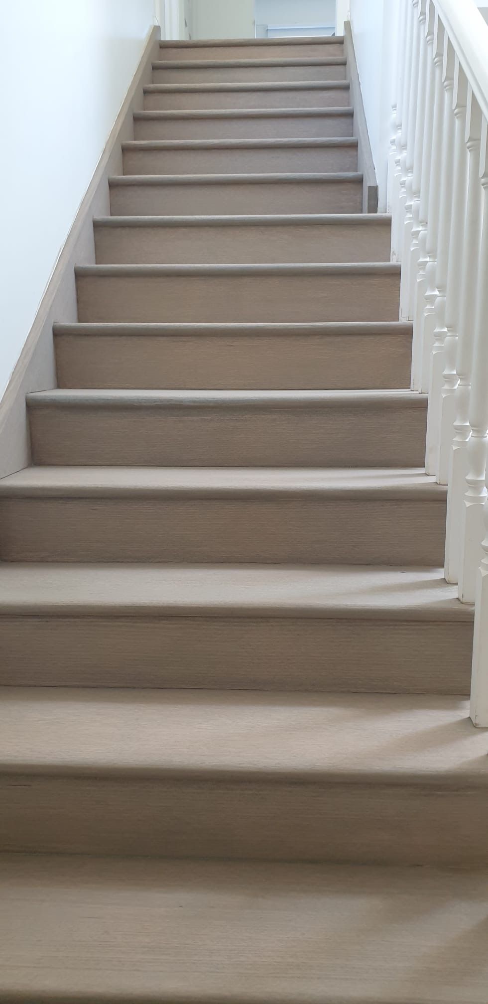 Carpeted indoor staircase with white railing and beige steps leading upward