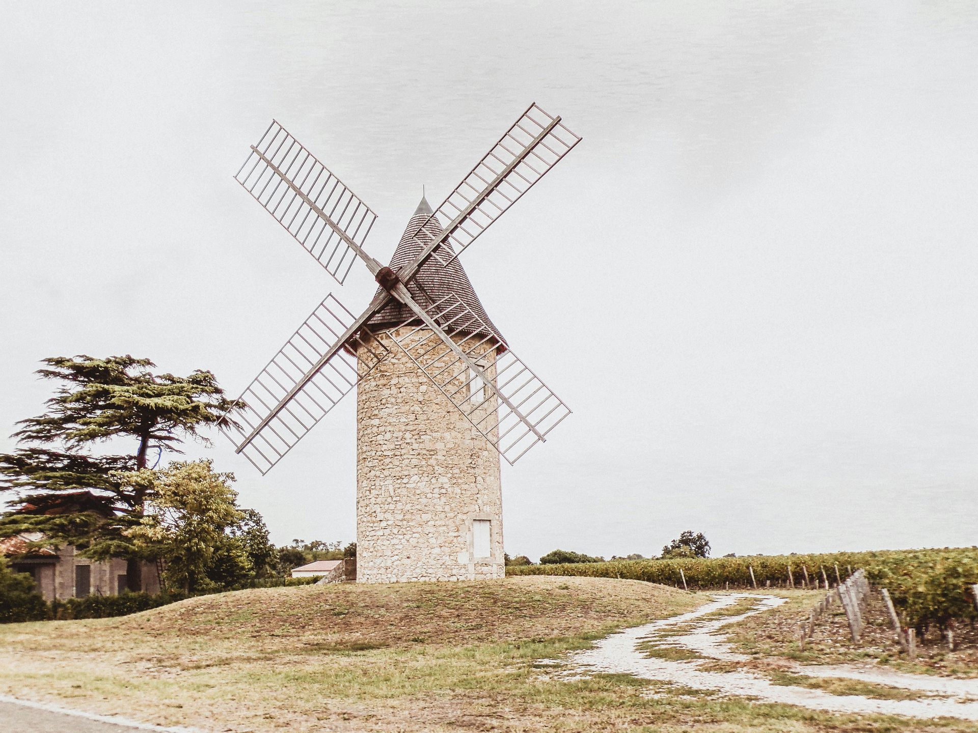 Traditional windmill amid golden vineyards in the Bordeaux region