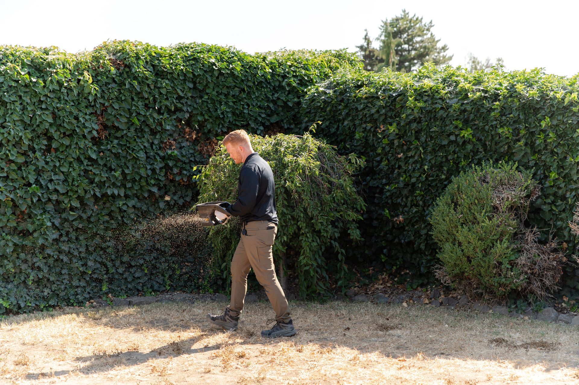 pest control in finley wa