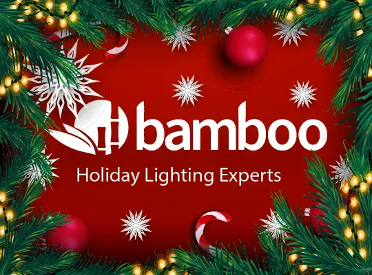Holiday Lights