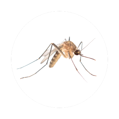 mosquito control Prairie Ridge