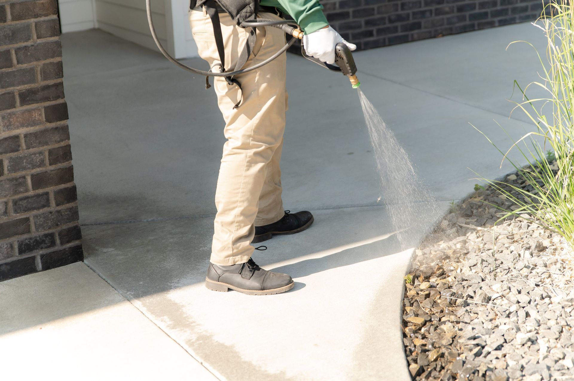 ant control