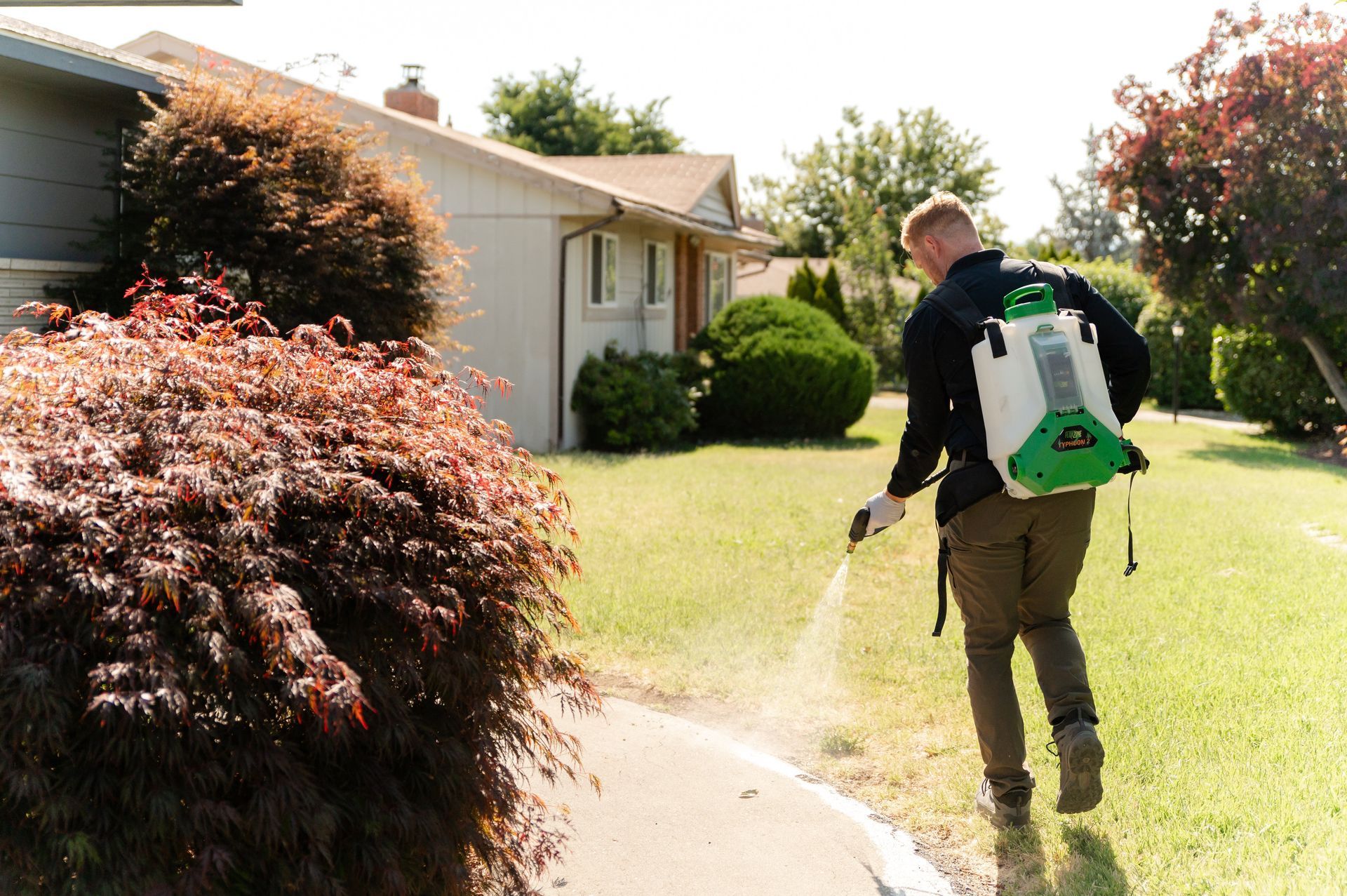 pest control in finley wa