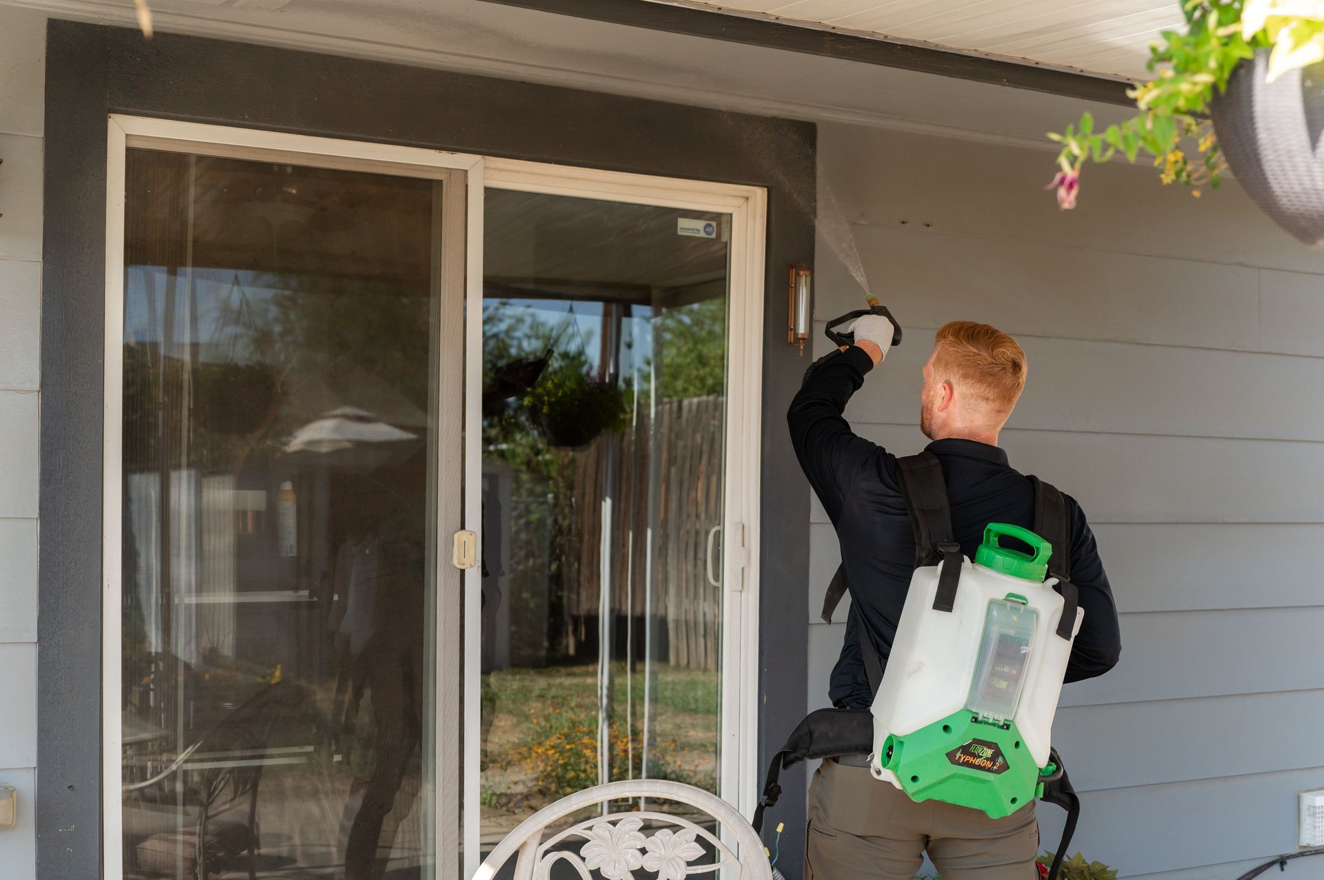 how to prevent rodents