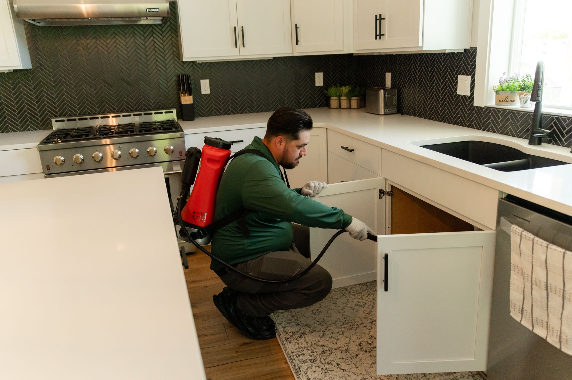 Pest Control For Home & Business - Exterminators - Bamboo Pest Control
