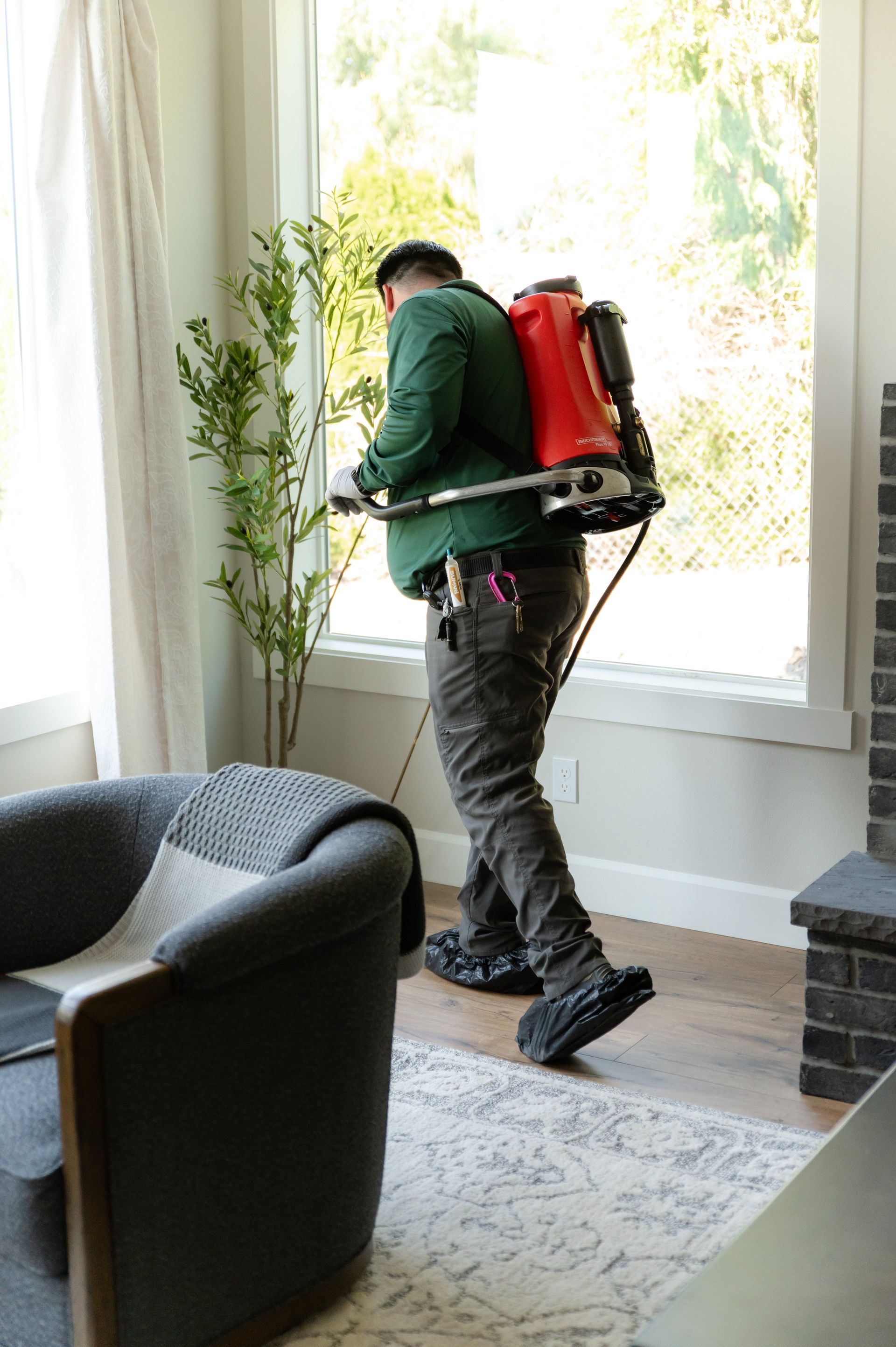 Why Preventive Pest Control Matters | Steve's Pest Control